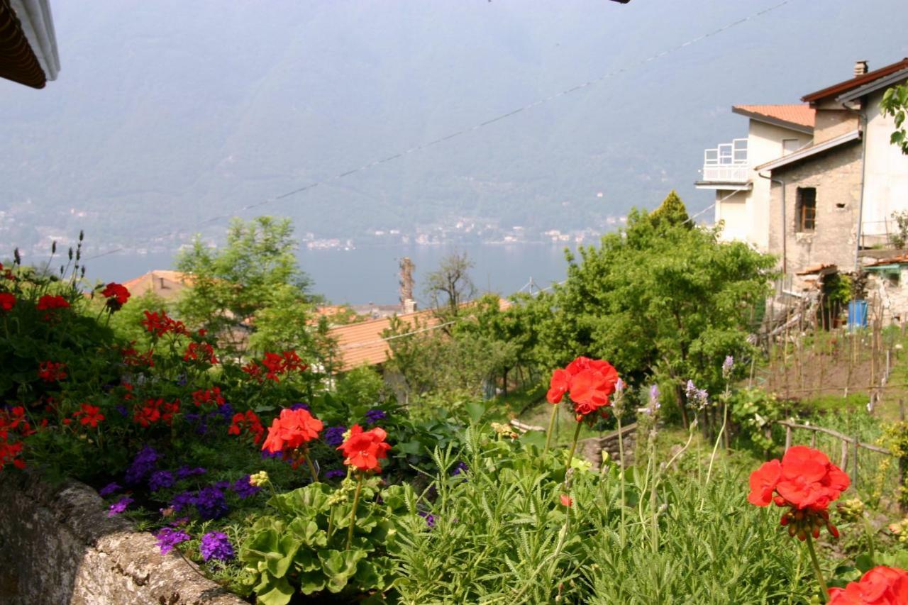 Il Mulino Di Hotel Villa Aurora Nesso Buitenkant foto
